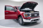 2021 F-150 Thumbnail 15