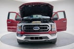 2021 F-150 Thumbnail 16