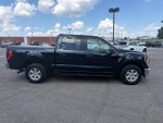2021 F-150 Thumbnail 4