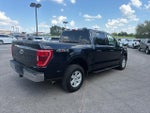 2021 F-150 Thumbnail 5