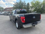 2021 F-150 Thumbnail 7