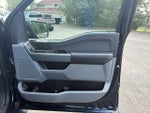 2021 F-150 Thumbnail 18