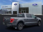 2022 F-150 Thumbnail 3