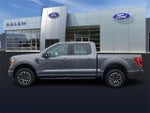 2022 F-150 Thumbnail 5