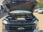 2022 F-150 Thumbnail 19