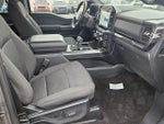 2022 F-150 Thumbnail 13