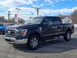 2022 F-150 Thumbnail 3