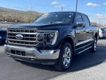 2022 F-150 Thumbnail 19
