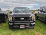 2022 F-150 Thumbnail 5