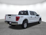 2022 F-150 Thumbnail 4