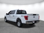 2022 F-150 Thumbnail 6