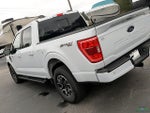 2022 F-150 Thumbnail 29