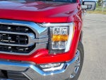 2022 F-150 Thumbnail 7