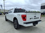2023 F-150 Thumbnail 3