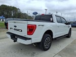 2023 F-150 Thumbnail 5