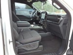 2023 F-150 Thumbnail 7