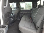 2023 F-150 Thumbnail 14