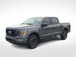 2023 F-150 Thumbnail 4