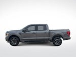2023 F-150 Thumbnail 5