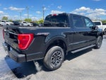2023 F-150 Thumbnail 3