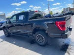 2023 F-150 Thumbnail 4
