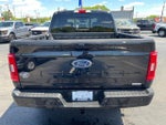 2023 F-150 Thumbnail 6