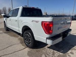 2023 F-150 Thumbnail 7