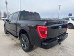 2023 F-150 Thumbnail 7