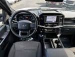 2023 F-150 Thumbnail 13