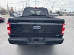 2023 F-150 Thumbnail 7
