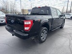 2023 F-150 Thumbnail 9