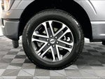 2023 F-150 Thumbnail 4