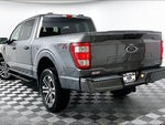 2023 F-150 Thumbnail 7