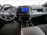 2023 F-150 Thumbnail 11