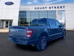 2023 F-150 Thumbnail 5