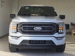 2023 F-150 Thumbnail 2