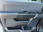 2023 F-150 Thumbnail 10