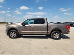 2023 F-150 Thumbnail 4