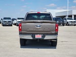 2023 F-150 Thumbnail 6