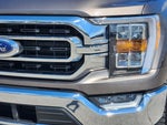 2023 F-150 Thumbnail 8