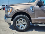 2023 F-150 Thumbnail 9
