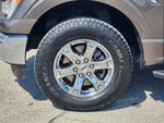 2023 F-150 Thumbnail 10