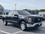 2023 F-150 Thumbnail 4