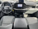 2023 F-150 Thumbnail 5