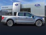 2023 F-150 Thumbnail 2