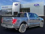 2023 F-150 Thumbnail 3