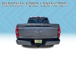 2023 F-150 Thumbnail 4