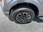 2023 F-150 Thumbnail 9