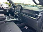 2023 F-150 Thumbnail 36