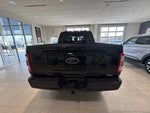 2023 F-150 Thumbnail 3